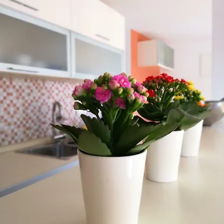 Apartment Krakovo Center